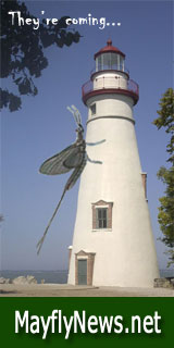 MayflyNews.net - your source for the latest new on Lake Erie Mayflies