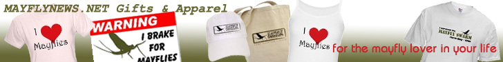 Mayflynews.net